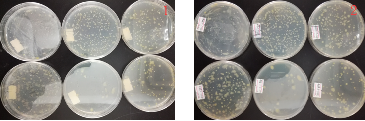 “超聲波處理對稻谷表面微生物的影響”發(fā)表論文啦??！