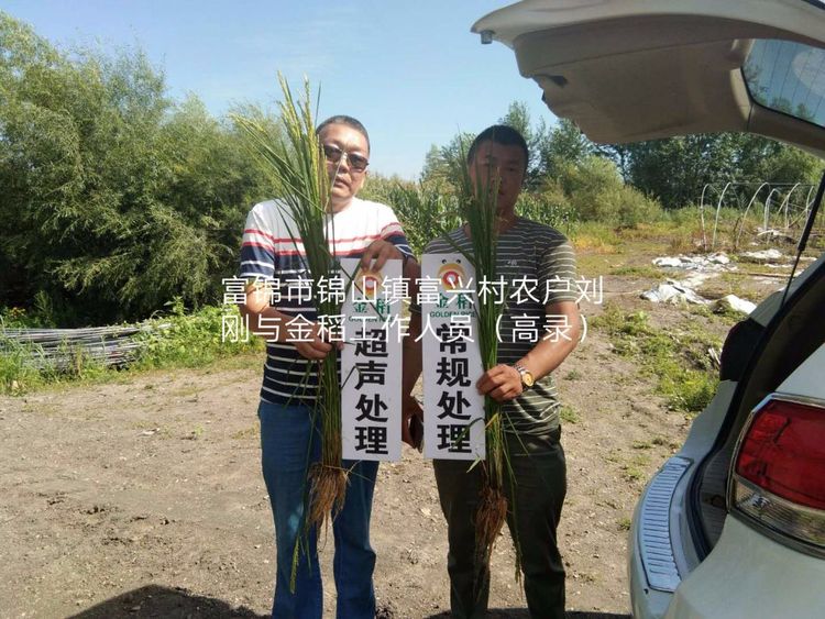 黑龍江雙鴨山市與佳木斯市的超聲波玉米、水稻種植田調(diào)查