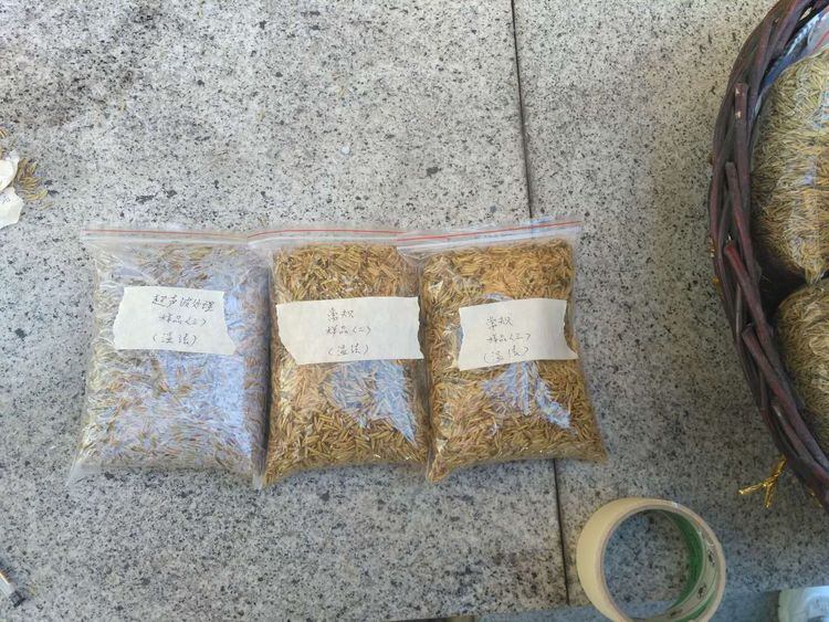 “超聲波處理對(duì)稻谷表面微生物的影響”發(fā)表論文啦??！