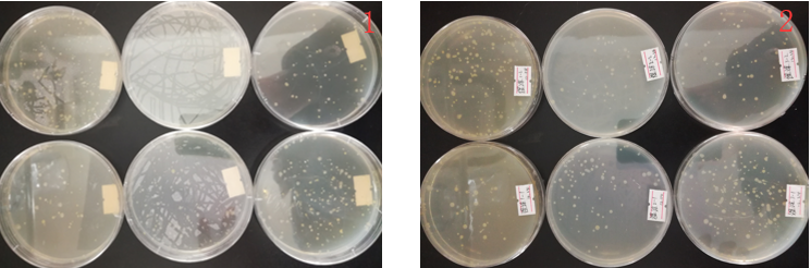 “超聲波處理對稻谷表面微生物的影響”發(fā)表論文啦！！