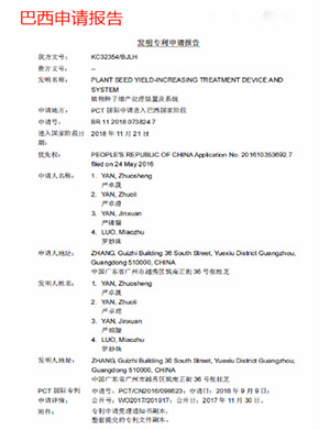 巴西申請報(bào)告